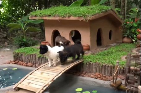 mamá, papá, ¿puedo ver dibus?