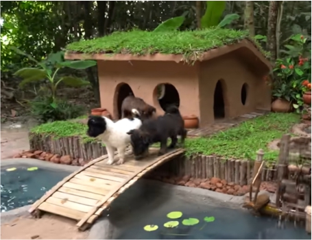 mamá, papá, ¿puedo ver dibus?